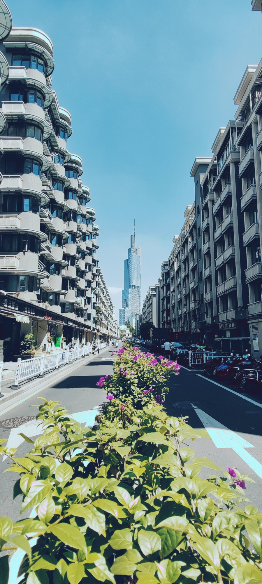 街景高楼绿植